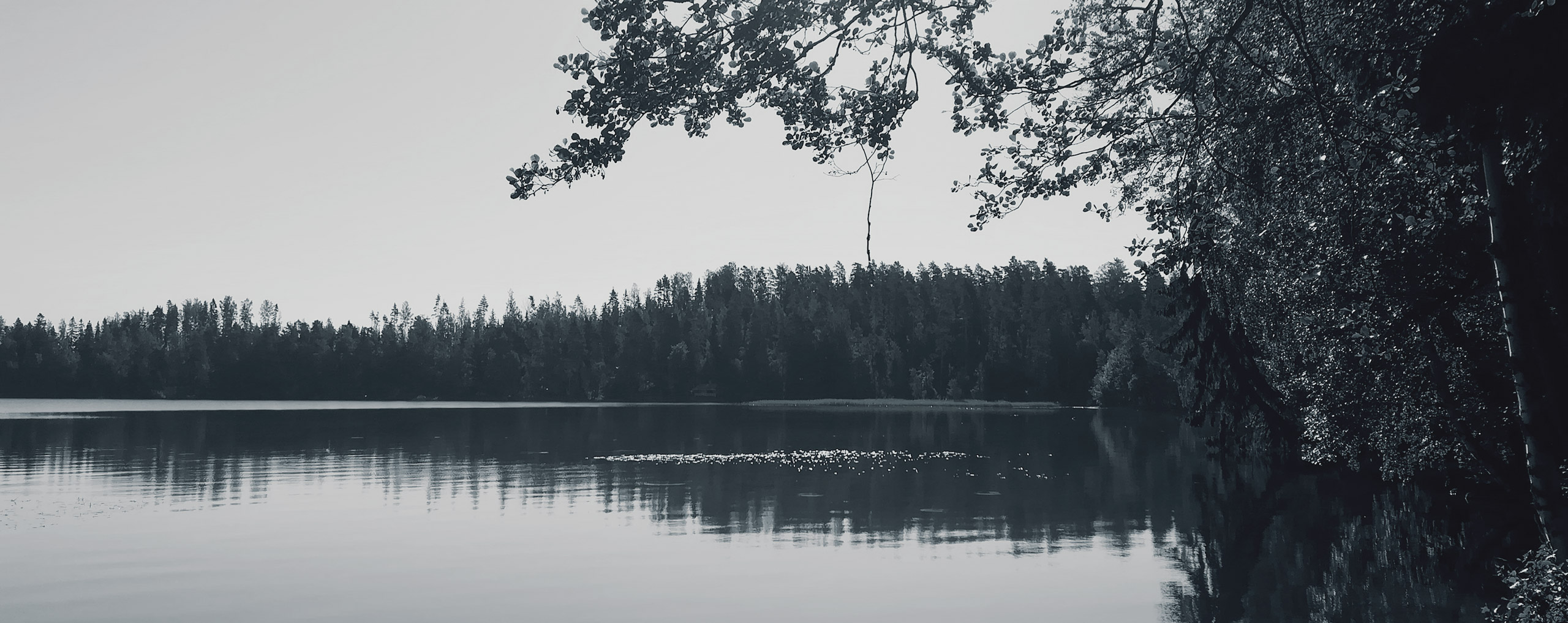 Kuva-jarvi-02